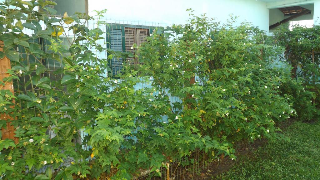 Pousada Rural Ouro Verde Eldorado Exterior foto